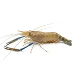 Bagda Chingri